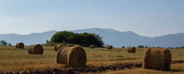 Colheita Trigo Fardos Redondos Palha Campo Agricultura Zonas Montanhosas — Fotografia de Stock