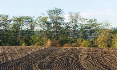Tarım arazileri sürüldü ve bitkiler için hazırlandı..