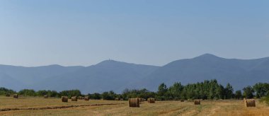 Buğday hasadı. Tarlada yuvarlak saman balyaları. Dağlık alanlarda tarım.