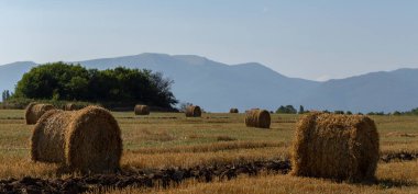 Buğday hasadı. Tarlada yuvarlak saman balyaları. Dağlık alanlarda tarım.
