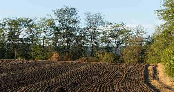 Las Tierras Agrícolas Son Aradas Preparadas Para Vegetación — Foto de Stock