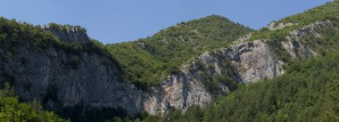 Rhodopes, Güneydoğu Avrupa 'da bir sıradağdır. Bulgaristan. Panorama. Orman alanı dağları kaplıyor..