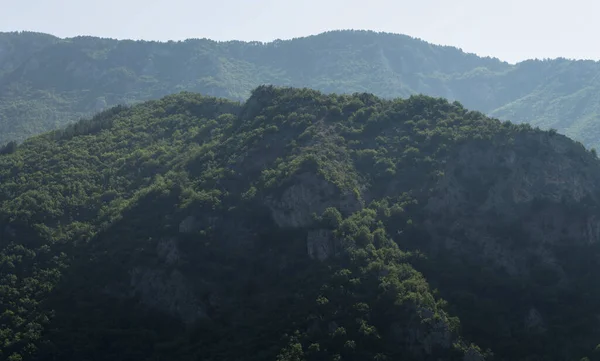 Rhodopen Sind Ein Gebirge Südosteuropa Bulgarien Panorama Das Waldgebiet Bedeckt — Stockfoto