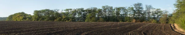 Terras Agrícolas São Lavradas Preparadas Para Vegetação — Fotografia de Stock