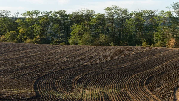 Ackerland Wird Gepflügt Und Für Die Vegetation Vorbereitet — Stockfoto