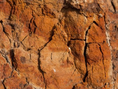 Sedimentary rocks with a high content of iron oxide. Red soil, loam. The texture of the soil.