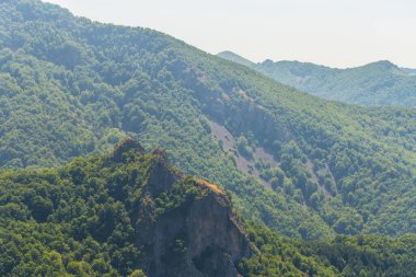 Rhodopes, Güneydoğu Avrupa 'da bir sıradağdır. Bulgaristan. Panorama. Orman alanı dağları kaplıyor..