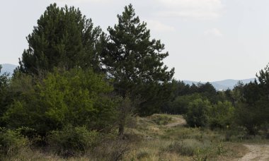 Güney Avrupa'nın panoramik arazisi. Bulgaristan-dağlar, tarlalar, flora peyzaj.