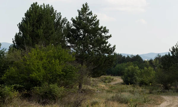 Güney Avrupa'nın panoramik arazisi. Bulgaristan-dağlar, tarlalar, flora peyzaj.