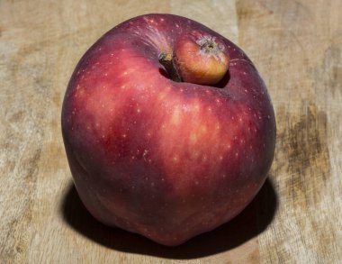 Kırmızı Lezzetli elma. Siyam ikizi, yapışık, asalak, koca elmalı ucube..