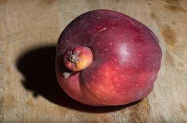 Kırmızı Lezzetli elma. Siyam ikizi, yapışık, asalak, koca elmalı ucube..