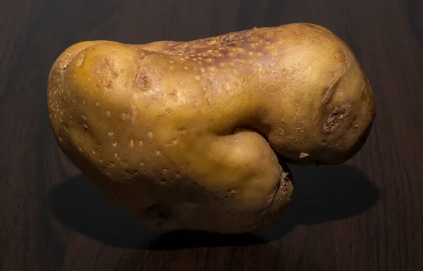 Ziemniaki Dziwnie Ukształtowane Brzydkie Warzywo Korzeniowe — Zdjęcie stockowe