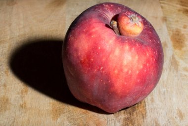 Kırmızı Lezzetli elma. Siyam ikizi, yapışık, asalak, koca elmalı ucube..