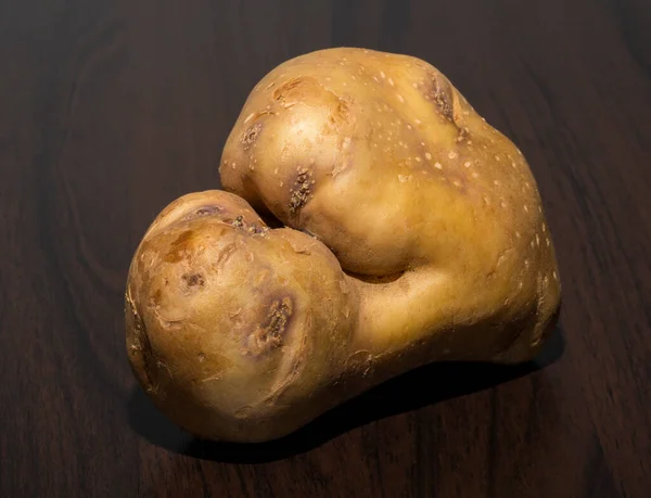 Картопля Дивно Виглядає Некрасивий Корінь Овоча — стокове фото