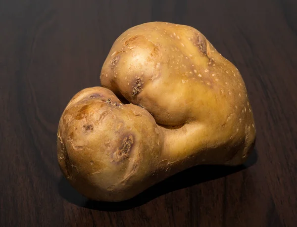 Les Pommes Terre Sont Bizarrement Formées Légume Racine Laid — Photo