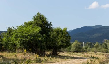 Güney Avrupa'nın panoramik arazisi. Bulgaristan-dağlar, tarlalar, flora peyzaj.