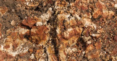 Sedimentary rocks with a high content of iron oxide. Red soil, loam. The texture of the soil.
