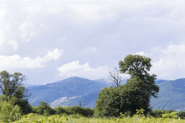 Thunderhead Balkanlar'ı kapsıyor. Sağanak, tarım arazileri yaklaşıyor. Bulgaristan'ın köyleri, tarlaları ve ormanları yağmurdan önce. Güney Avrupa'daki arazi. Panorama.