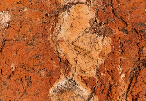 酸化鉄を多く含む堆積岩 赤い土 ローム 土の質感 — ストック写真