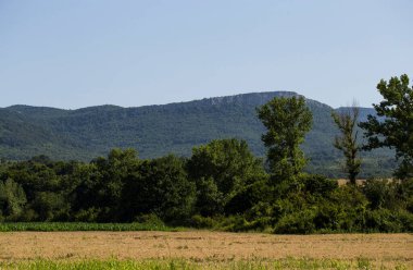 Güney Avrupa'nın panoramik arazisi. Bulgaristan-dağlar, tarlalar, flora peyzaj.