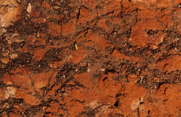 Rochas Sedimentares Com Alto Teor Óxido Ferro Solo Vermelho Loam — Fotografia de Stock