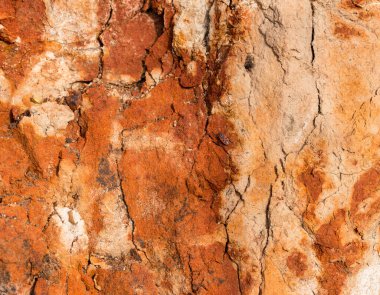 Sedimentary rocks with a high content of iron oxide. Red soil, loam. The texture of the soil.