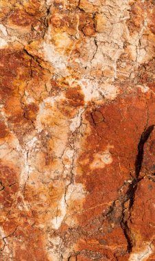 Yüksek oranda demir oksit içeren tortulu kayalar. Kırmızı toprak, toprak. Toprağın dokusu.