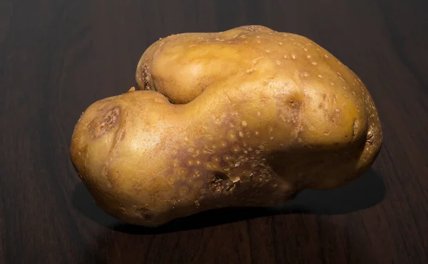 ジャガイモは奇妙な形をしています 醜い根菜 — ストック写真