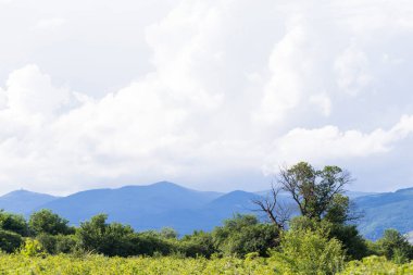 Thunderhead Balkanlar'ı kapsıyor. Sağanak, tarım arazileri yaklaşıyor. Bulgaristan'ın köyleri, tarlaları ve ormanları yağmurdan önce. Güney Avrupa'daki arazi. Panorama.