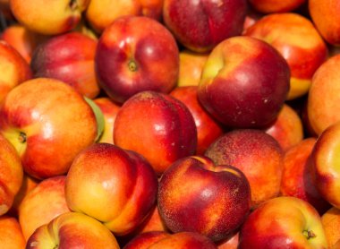 Şeftali (Prunus persica), (parlak derili, tüysüz çeşitleri), nektarinler. Meyve ticareti platformu.
