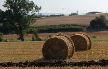 Buğday hasadı. Tarlada yuvarlak saman balyaları. Dağlık alanlarda tarım.