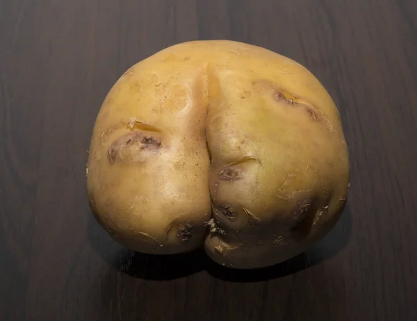 Ziemniaki Dziwnie Ukształtowane Brzydkie Warzywo Korzeniowe — Zdjęcie stockowe