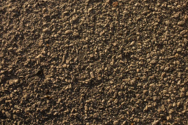 Стена Дома Бетонное Покрытие Цементная Плита — стоковое фото
