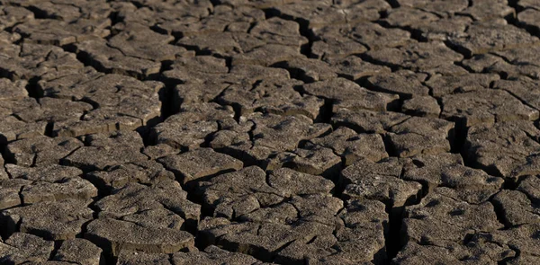 Earth cracked because of drought. The global shortage of water on the planet. Global warming concept. Dry cracks in the land.