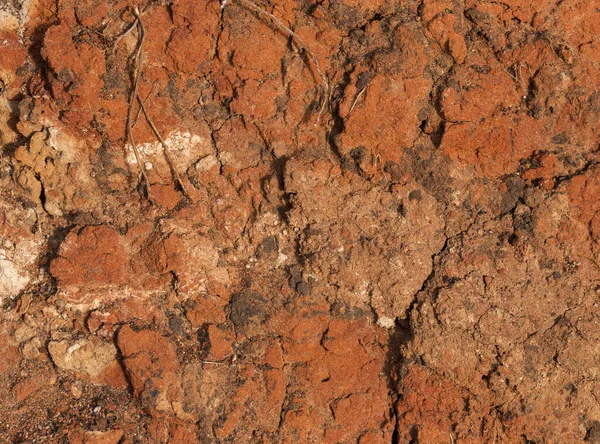 Sedimentary Rocks High Content Iron Oxide Red Soil Loam Texture — Stockfoto