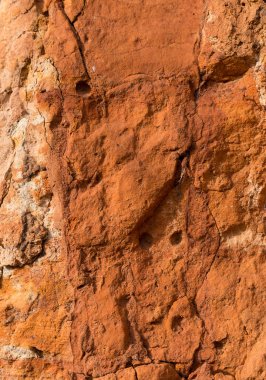 Yüksek oranda demir oksit içeren tortulu kayalar. Kırmızı toprak, toprak. Toprağın dokusu.