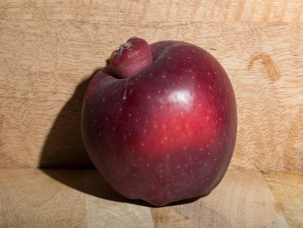Red Delicious Apple Siamese Twin Conjoined Parasitic Freak Big Apple — Stock fotografie