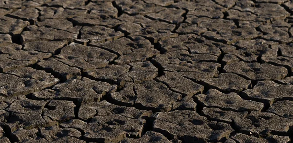 가뭄때문에 깨졌다 지구상의 세계적 부족입니다 온난화의 개념입니다 갈라진 — 스톡 사진