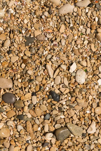 Kleine Kieselsteine Bilden Den Hintergrund Der Meeresküste Grober Mehrfarbiger Sand — Stockfoto