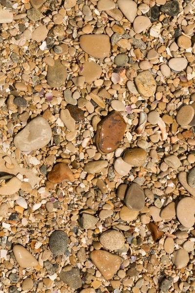 Kleine Kieselsteine Bilden Den Hintergrund Der Meeresküste Grober Mehrfarbiger Sand — Stockfoto