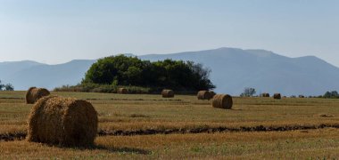 Buğday hasadı. Tarlada yuvarlak saman balyaları. Dağlık alanlarda tarım.