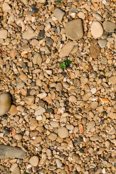 Små Stenar Bildar Bakgrunden Till Havets Strand Grov Flerfärgad Sand — Stockfoto