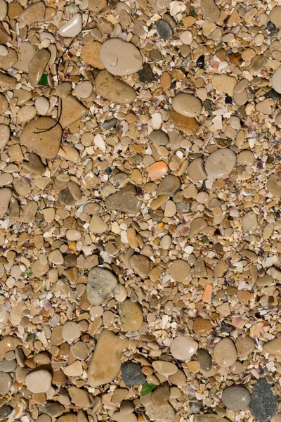 小鹅卵石构成了海滨的背景 粗糙的五颜六色沙子 — 图库照片