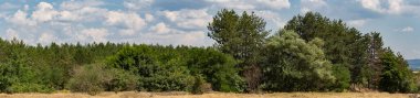Güney Avrupa'nın panoramik arazisi. Bulgaristan-dağlar, tarlalar, flora peyzaj.