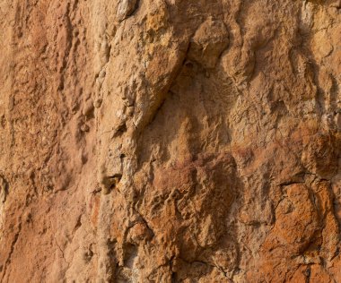 Yüksek oranda demir oksit içeren tortulu kayalar. Kırmızı toprak, toprak. Toprağın dokusu.