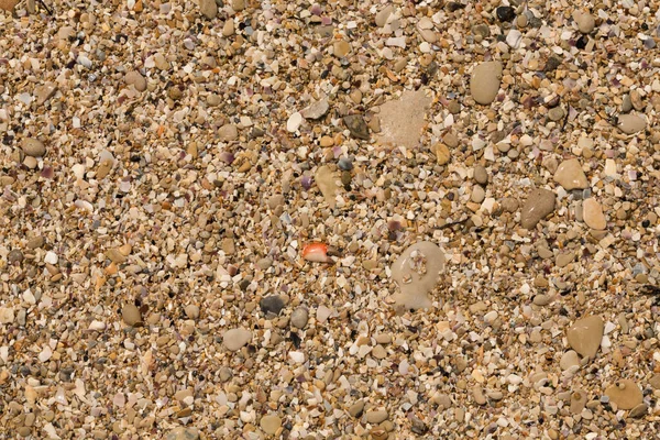 Små Stenar Bildar Bakgrunden Till Havets Strand Grov Flerfärgad Sand — Stockfoto