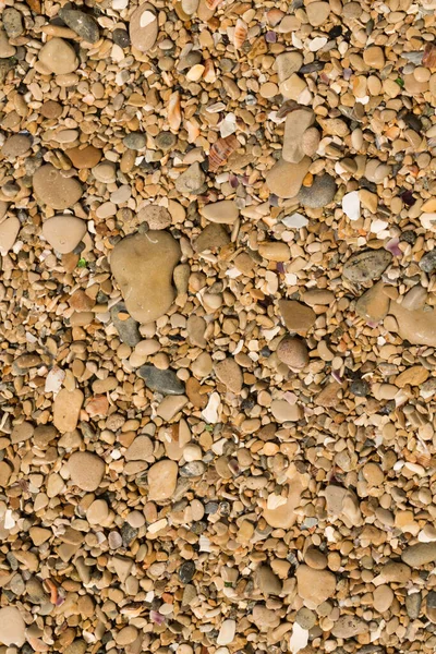 Kleine Kieselsteine Bilden Den Hintergrund Der Meeresküste Grober Mehrfarbiger Sand — Stockfoto