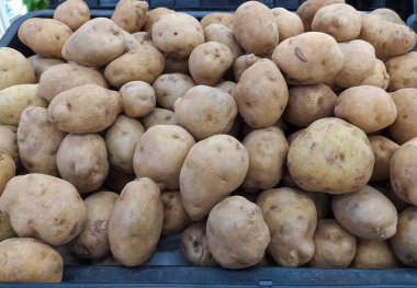 Pazarda taze çiğ patates. patates arka planı