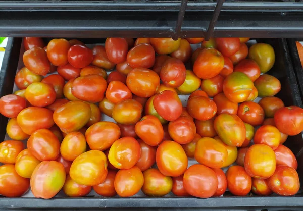 kırmızı domates domates grup arka plan