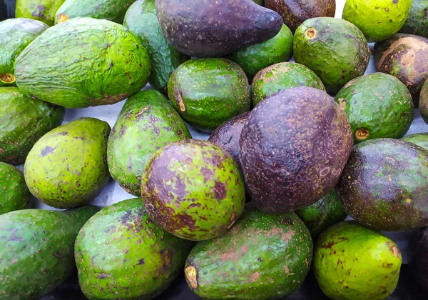 View Pile Fresh Ripe Avocados Sale Market — ストック写真